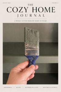 painting bookcases