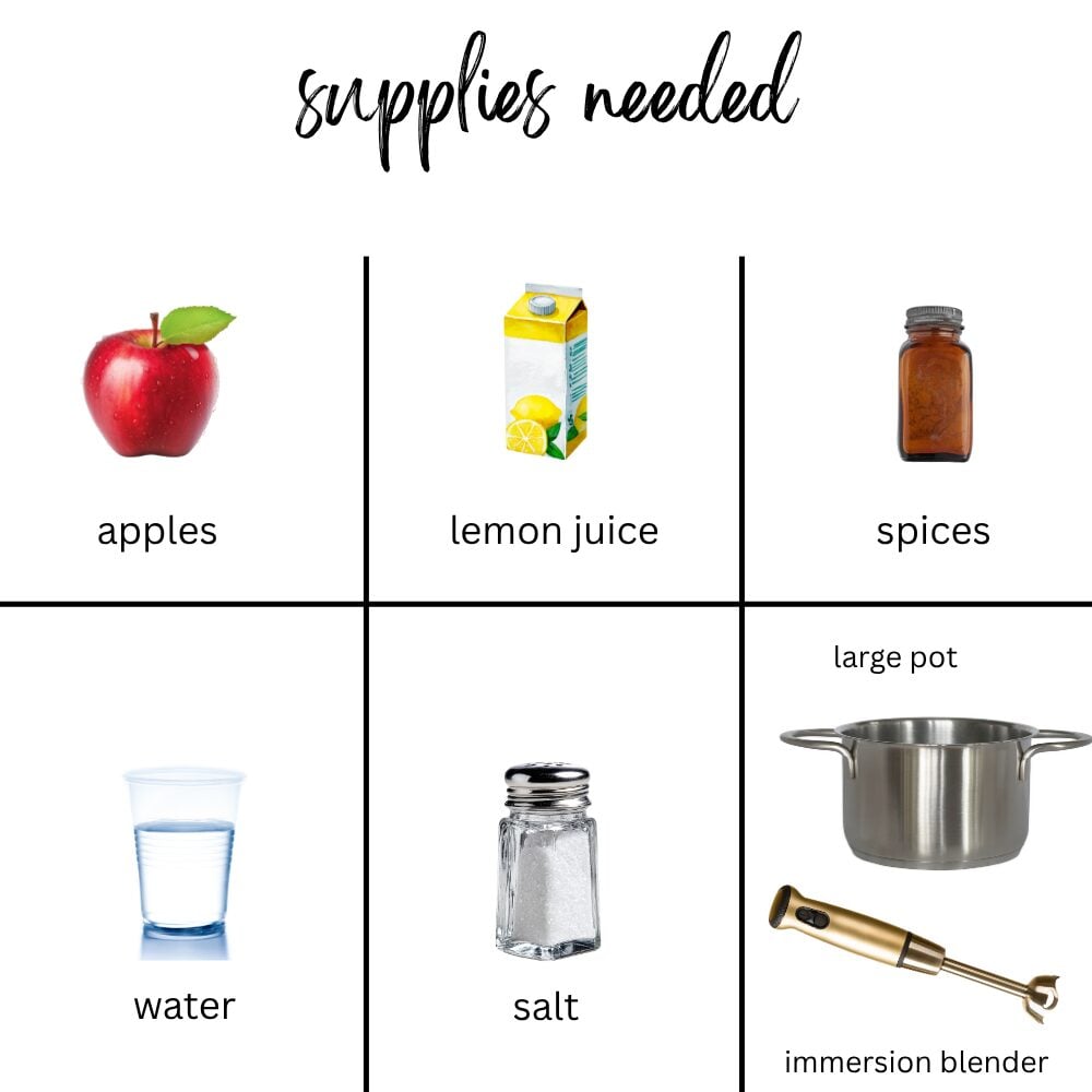 applesauce recipe no sugar